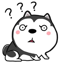 Meme chó Husky chấm hỏi thắc mắc chưa hiểu điều gì