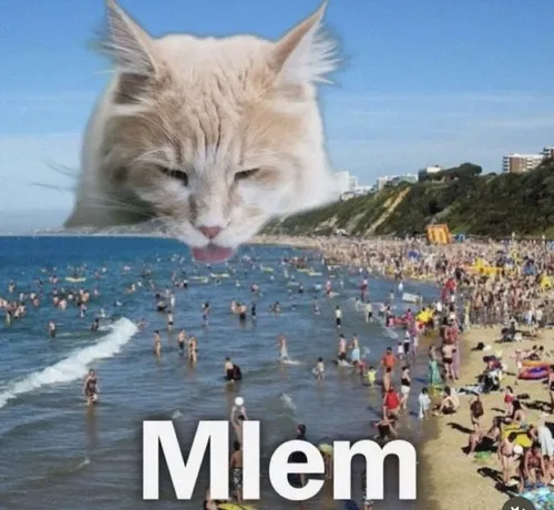 Meme hài ngon mắt, không ngờ cũng tới lượt mình