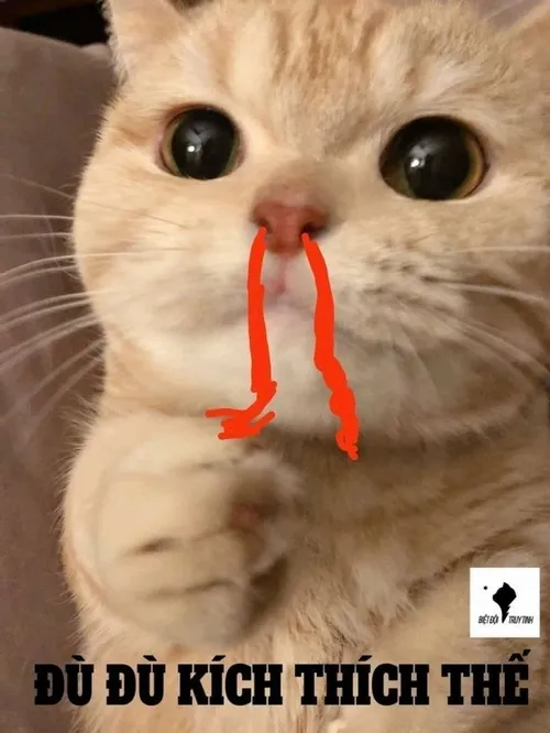 Ảnh troll mlem nhẹ, vừa đủ gây thương nhớ Ảnh troll mlem nhẹ, vừa đủ gây thương nhớ