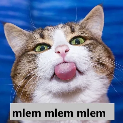 Meme chế thèm chảy nước dãi vì món ăn hot trend