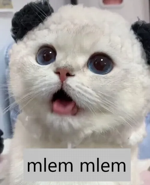 Ảnh chế nhìn phát muốn “ăn liền” không đắn đo