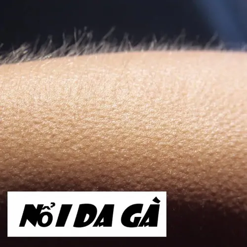 Meme chế cảm giác sởn gai ốc khi xem livestream Meme chế cảm giác sởn gai ốc khi xem livestream