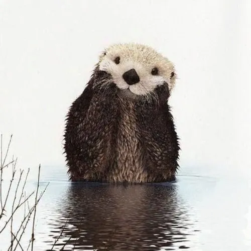 Ảnh vui rái cá ngạc nhiên khi bị phát hiện