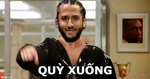12 Ảnh troll “quỳ xuống bái phục” lan TikTok dậy sóng.