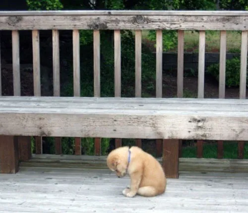 Ảnh hài tủi thân vừa buồn vừa đáng yêu