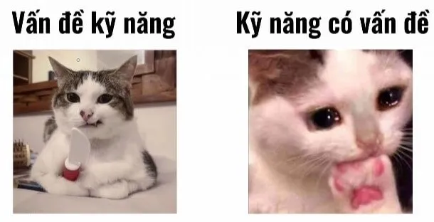 Ảnh chế về kỹ năng làm việc mà dân công sở nào cũng thấy mình trong đó