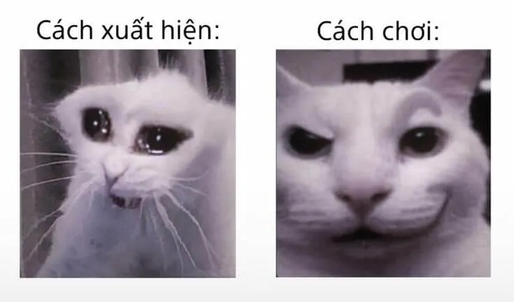 Những bức ảnh meme này chứng minh rằng kỳ vọng luôn cao hơn thực tế nhiều