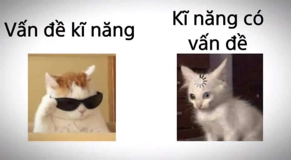 Bộ sưu tập meme về kỹ năng làm việc viral mạnh vì quá đúng với đời thực