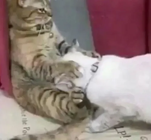 17 16