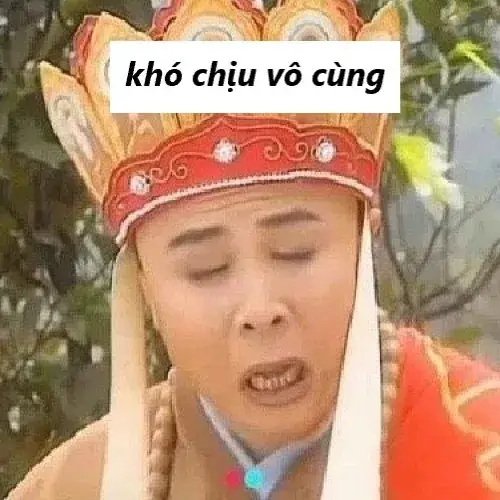 Khi meme khó chịu trở thành biểu tượng của những ngày mệt mỏi
