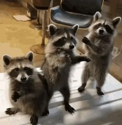 Meme ba nhân vật kể chuyện ghen nhẹ và tình bạn dễ thương