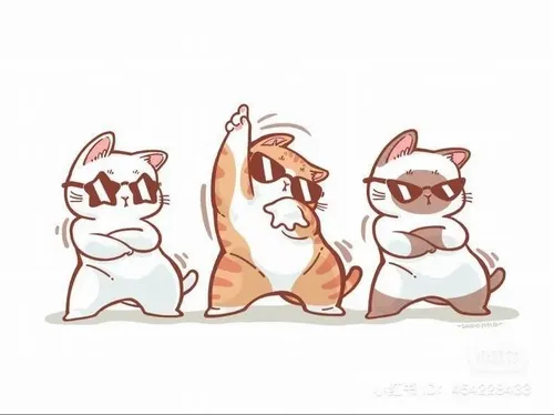 Hình chế meme vui về nhóm bạn troll nhau trong buổi gặp