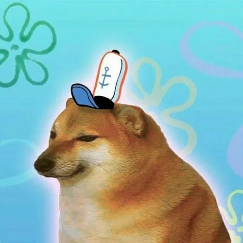 Hình đại diện cute dùng độ dễ thương nhấn thành ảnh chó meme dí dỏm.