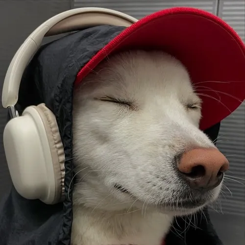 Hình đại diện ngầu dùng ảnh đại diện cún tương tác mèo cute trên nền sáng.