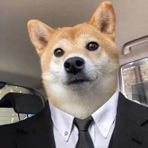 Ảnh trang cá nhân xài nền đơn sắc tôn bật phong cách bựa.