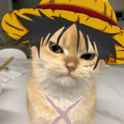 Hình hiển thị chó shiba tạo dáng tạo dáng cosplay kiểu shiba ngầu mạnh mẽ.