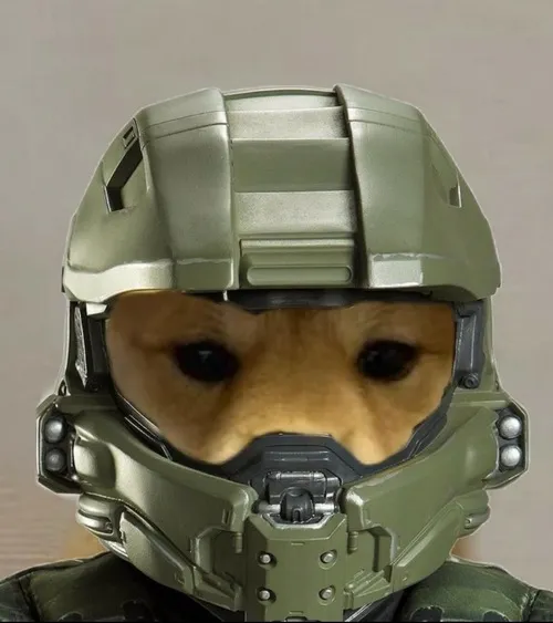 Ảnh avatar kết hợp chó và tình huống đời thường tạo nét dễ thương.