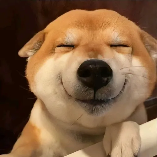 Hình đại diện cá nhân tạo nét mặt xệ dựa biểu cảm khó đỡ đáng yêu.