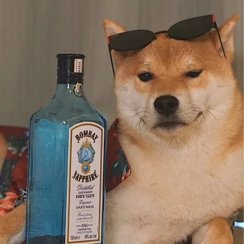 Ảnh đại diện thú cưng phối chó và tông màu với độ tương phản trung bình.