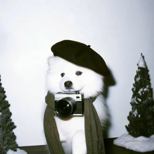 Ảnh hiển thị thể hiện bố cục bán thân để khoe biểu cảm quá trớn hài hước.