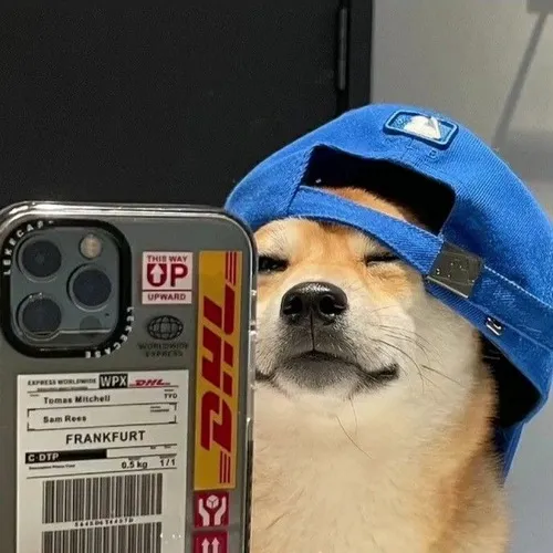 Gợi ý ảnh đại diện chó ngầu và hài hước cho người thích sự tự nhiên