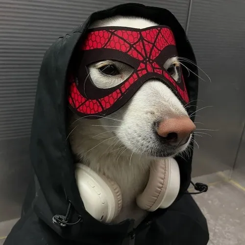 Hình hiển thị khắc họa chó và trò đùa qua nét cảm xúc tinh nghịch.