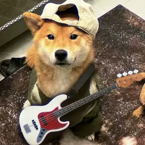 Tại sao avatar chó đang là lựa chọn của người thích sự thoải mái