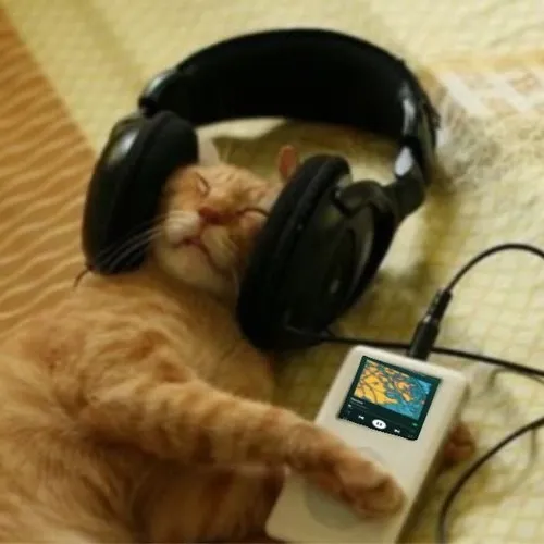 Những kiểu avatar mèo khóc pastel tạo cảm giác buồn nhưng vẫn dễ chịu