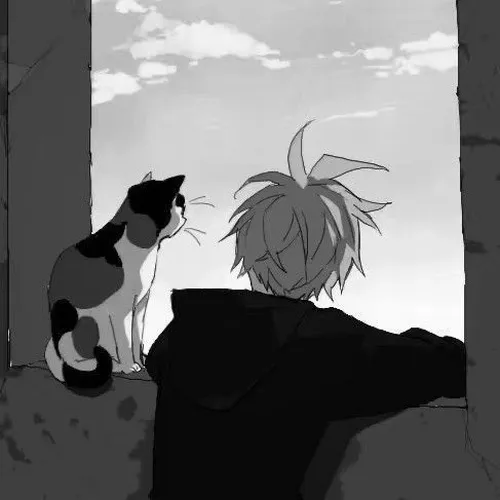 Ảnh avatar mèo khóc lộ ngấn lệ đầy tội nghiệp