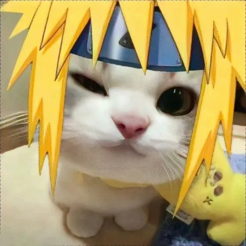 Hình đại diện Tiktok mèo dí dỏm kết hợp bộ lông mèo bồng mềm