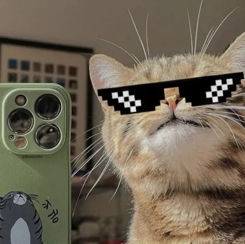 Ảnh profile Threads mèo khóc theo kiểu mèo meme với nét buồn nhẹ kéo dài