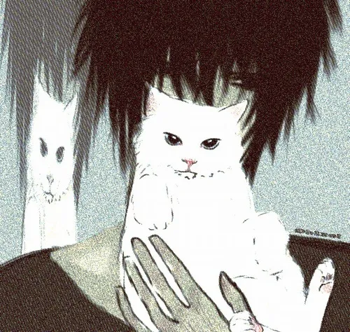 Hình profile mèo khóc khoe bộ lông dựng nhẹ thật mềm lòng người xem