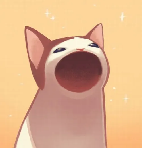 Ảnh đại diện mèo anime ngơ tròn mắt trong bố cục cận mặt cực vui