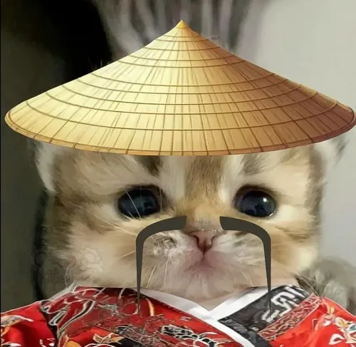 Ảnh đại diện ngầu mèo ngáo mở to mắt rung ria phô ngáo gốc cực chất