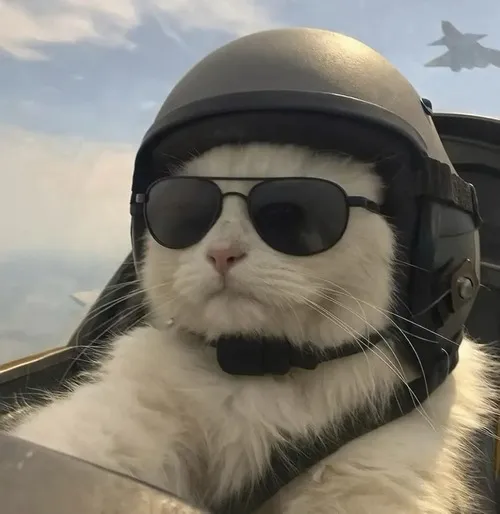 Ảnh trang cá nhân mèo ngáo thè lưỡi nhẹ với tông màu sáng rất duyên