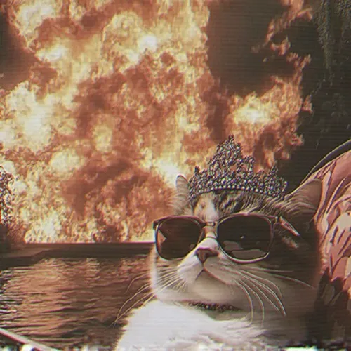 Ảnh cá nhân mèo đeo kính mạnh mẽ dựng lông giữa tông màu tối nổi bật