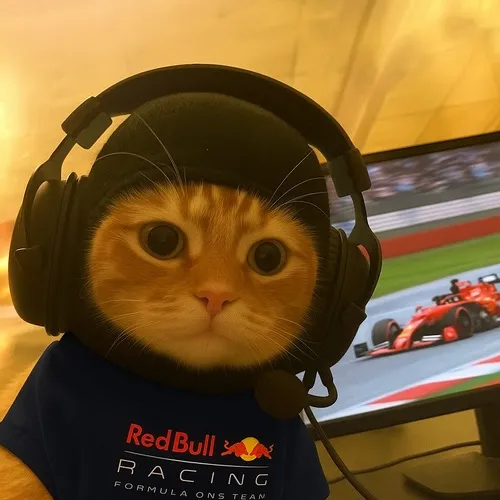 Ảnh hiển thị mèo chất đeo kính đen bật lên phong cách bí ẩn