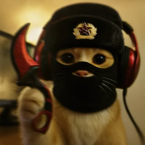 Ảnh avatar Facebook mèo chất mặc áo da mô phỏng phong cách ngầu