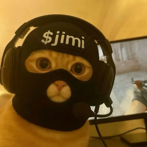 Hình profile mèo lạnh nhìn cao với ánh mắt dội ngược sáng