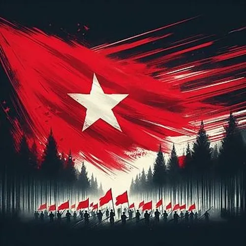 Hình profile avatar yêu nước cân bằng phong cách truyền thống