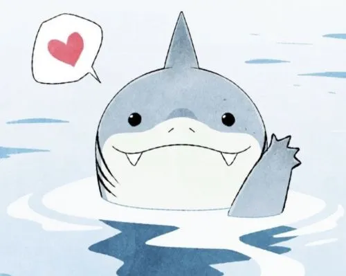 Ảnh vui cá mập trồi lên mặt nước với mắt tròn