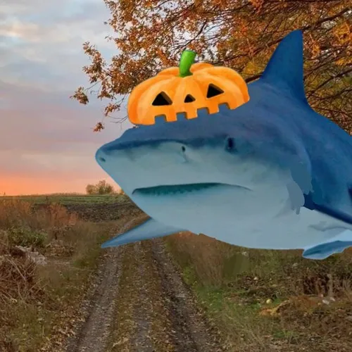 Meme chế cá mập lượn vòng tạo bóng lớn buồn cười