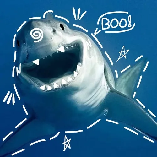 Meme cá mập mở mang cá như muốn than thở