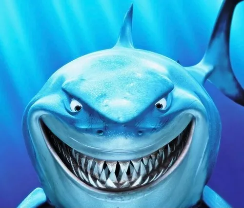 Ảnh hài cá mập nghiêng đầu quan sát đàn cá nhỏ