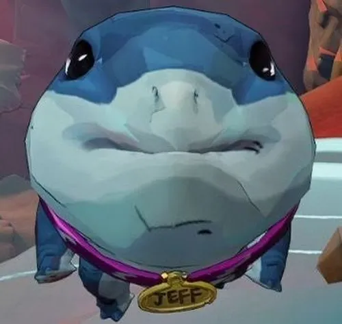 Ảnh meme vui cá mập há miệng lớn nhưng hiền khôi