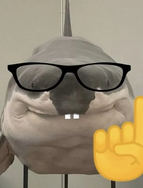 Meme cá mập đuổi cá nhỏ nhưng tốc độ buồn cười