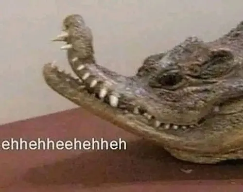 Cá sấu đầm lầy nhe răng cười