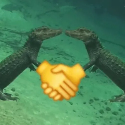 Ảnh meme vui cá sấu hé mõm nhỏ kiểu bất lực