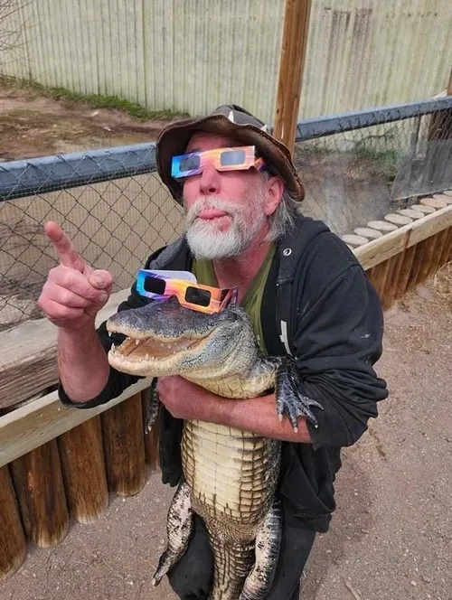 Ảnh meme con cá sấu đeo kính đen