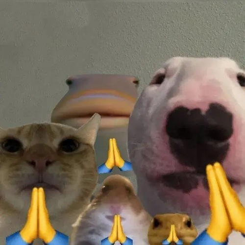 Ảnh chế đôi mắt long lanh nhìn lên đầy hy vọng mong được tha thứ.